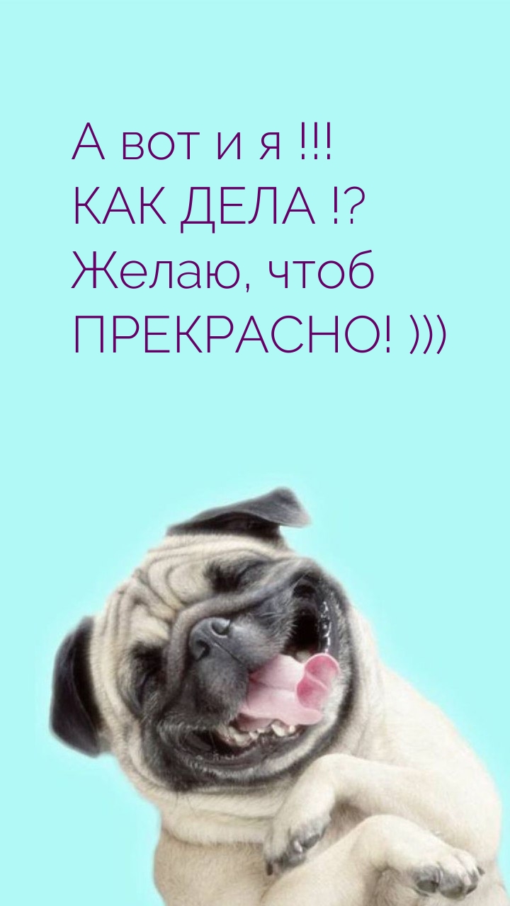 А вот и я! КАК ДЕЛА!? Желаю, чтоб ПРЕКРАСНО! )))