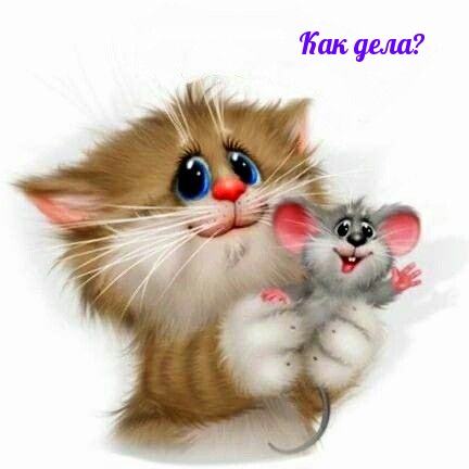 Как дела?