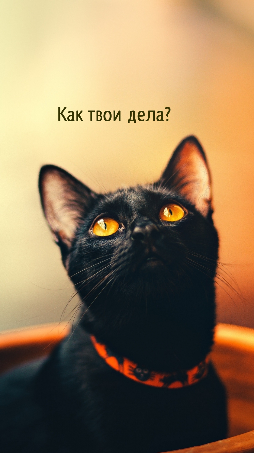Как твои дела?