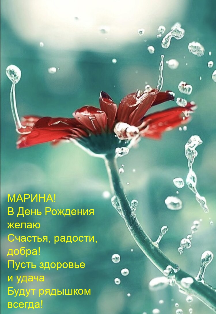 Марина! В День Рождения желаю счастья, радости