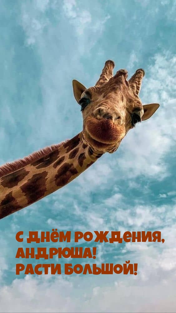 С днём рождения, Андрюша! Расти большой!
