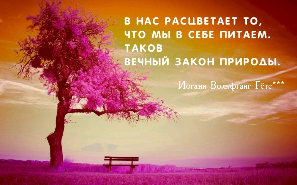 В нас расцветает то, что мы в себе питаем. Иоганн Вольфганг Гёте***