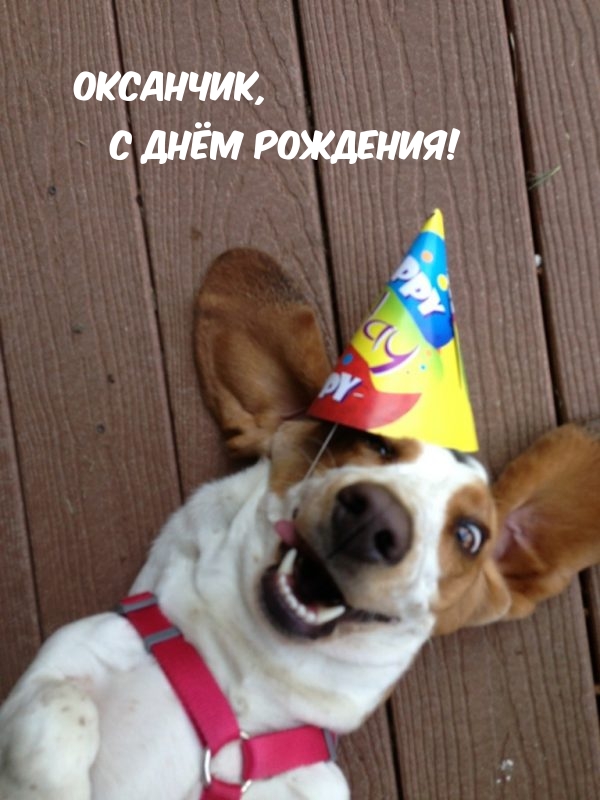 Оксанчик, с днём рождения!