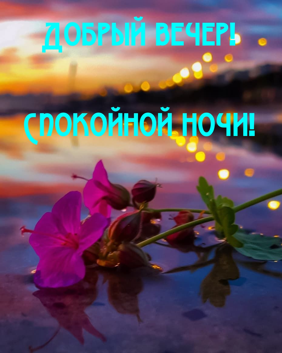 Добрый вечер! Спокойной ночи!
