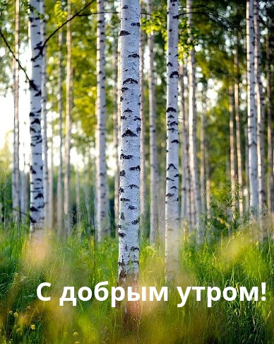 С добрым утром!