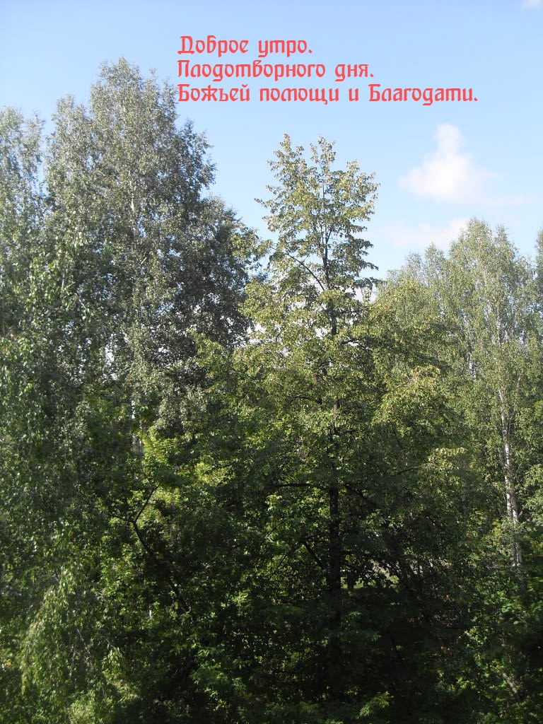 Доброе утро. Плодотворного дня. Божьей помощи и Благодати.
