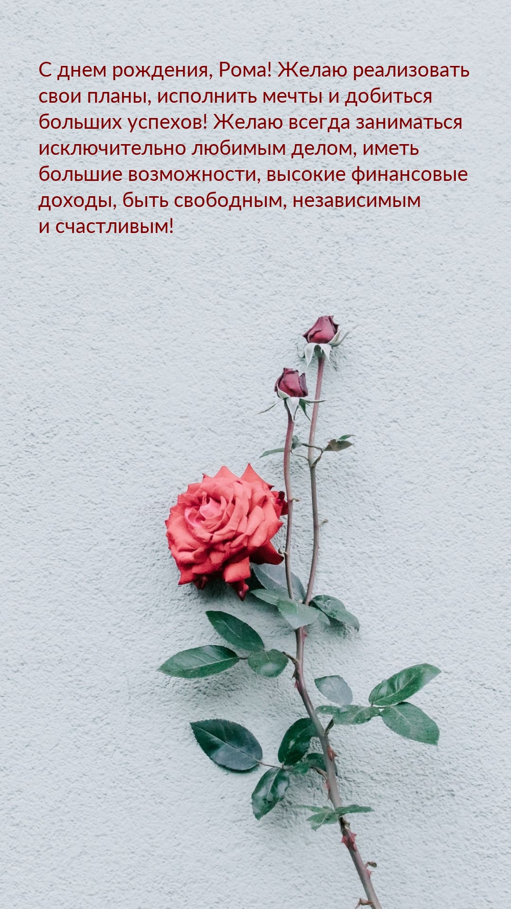 С днем рождения, Рома! Желаю реализовать свои планы