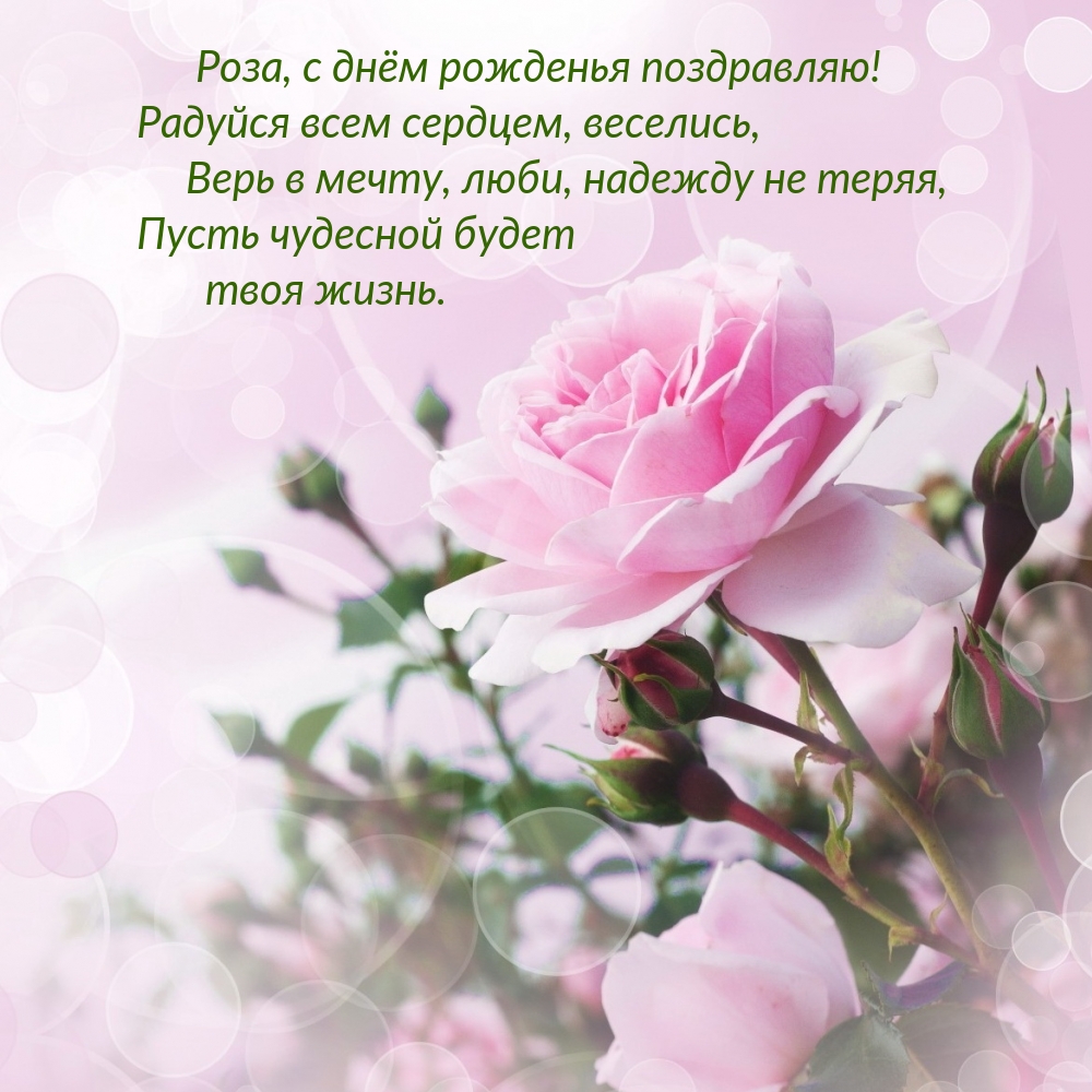 Роза, с днём рожденья поздравляю! Радуйся всем сердцем, веселись