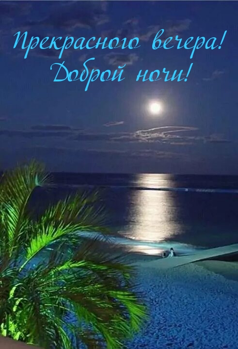 Прекрасного вечера! Доброй ночи!
