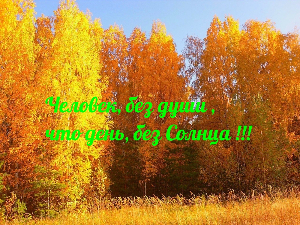 Человек, без души, что день, без Солнца!
