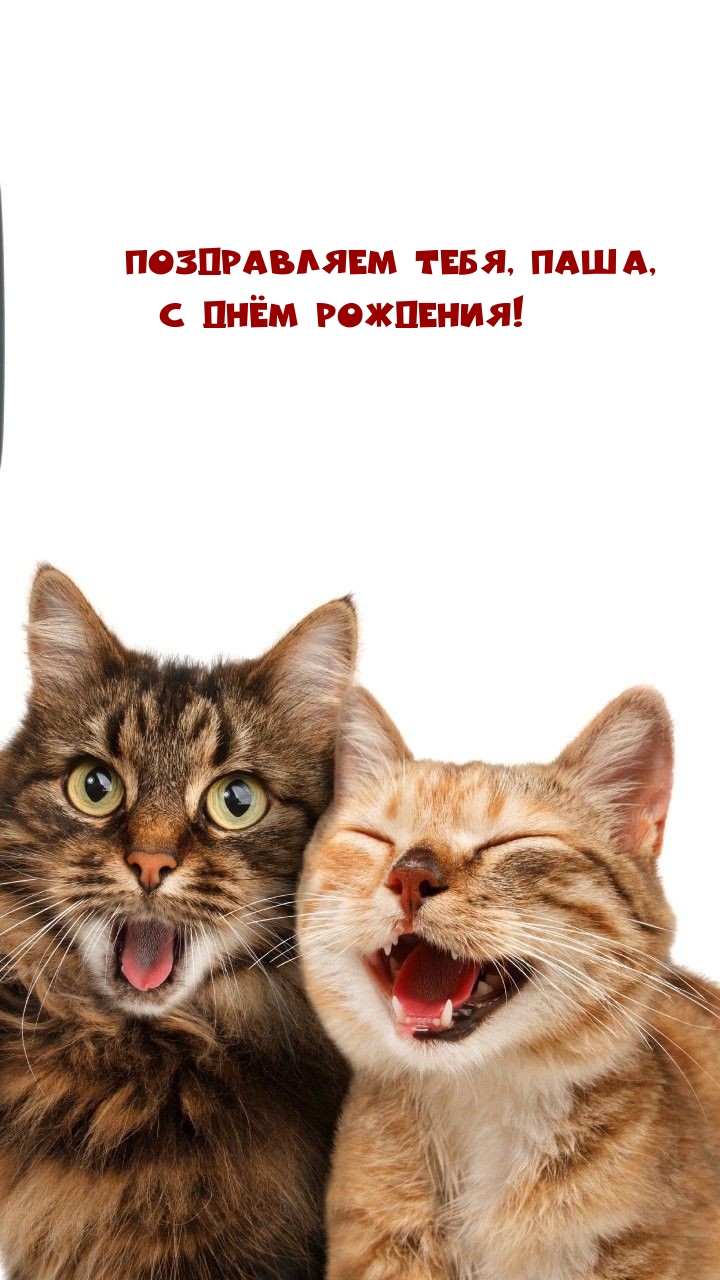Поздравляем тебя, Паша, С днём рождения!