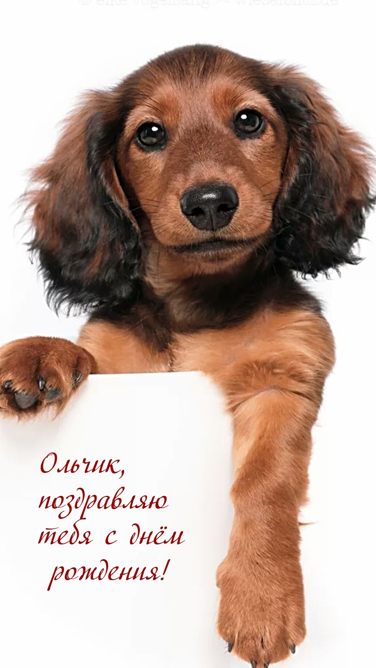 Ольчик, поздравляю тебя с днём рождения!