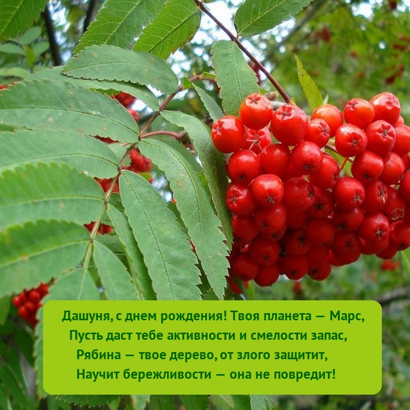 Дашуня, с днем рождения! Твоя планета — Марс