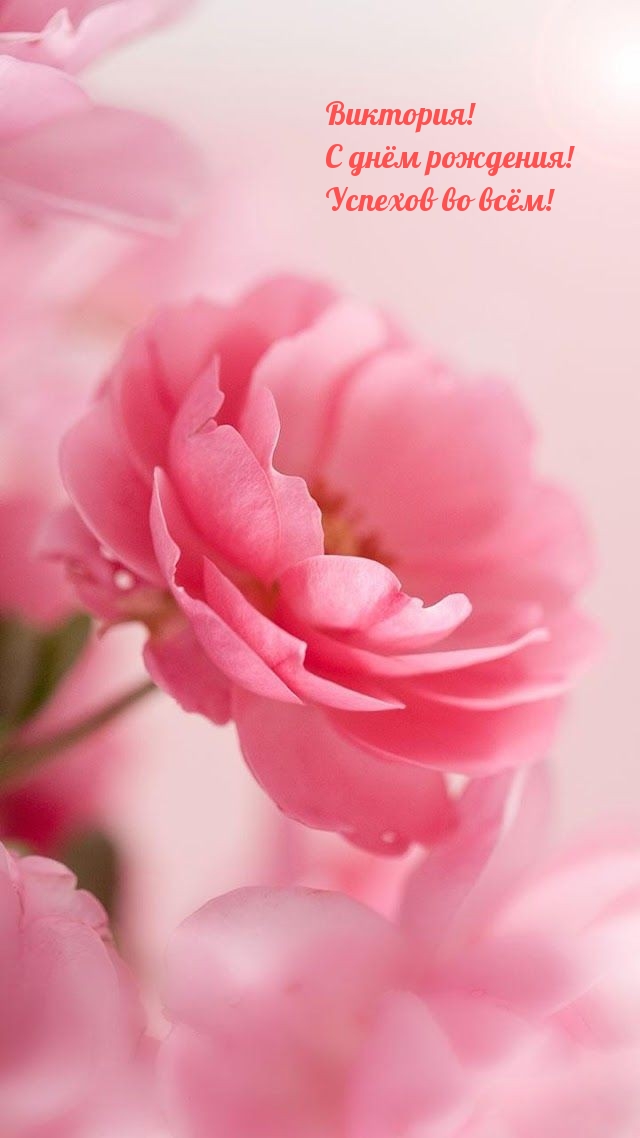 Виктория! С днём рождения! Успехов во всём!