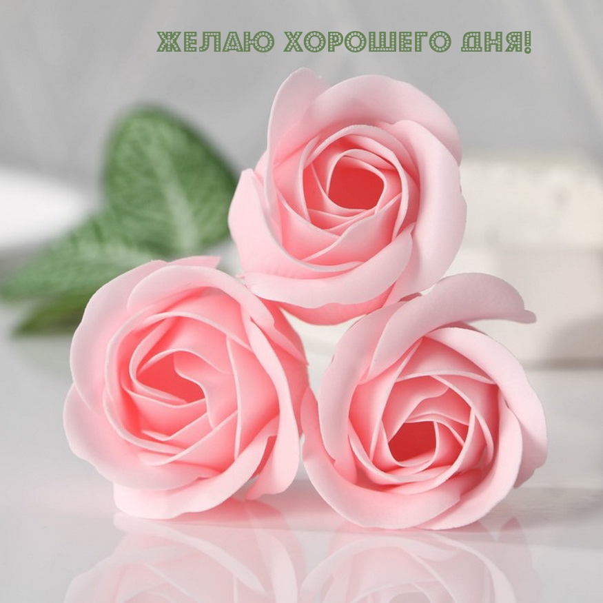 Желаю хорошего дня!