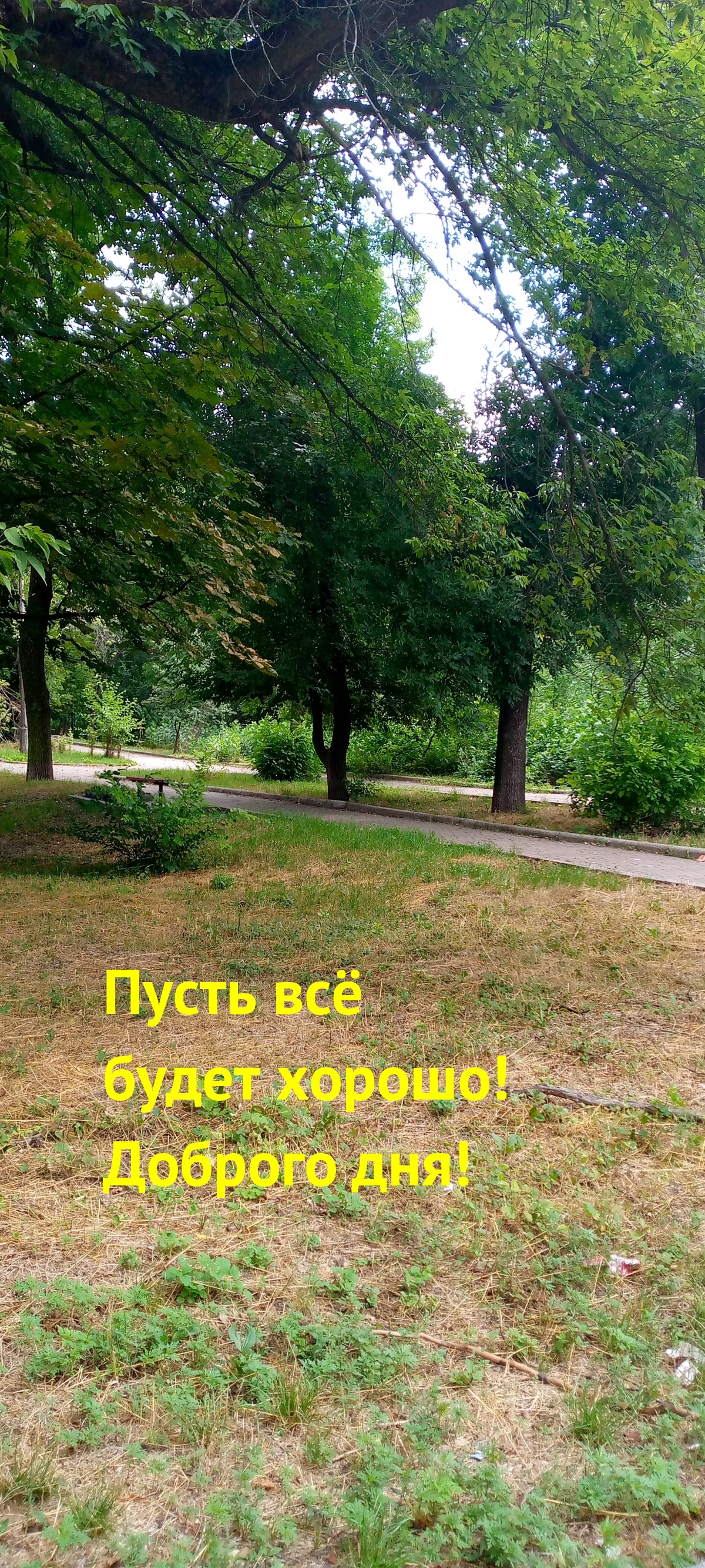 Пусть всё будет хорошо! Доброго дня!