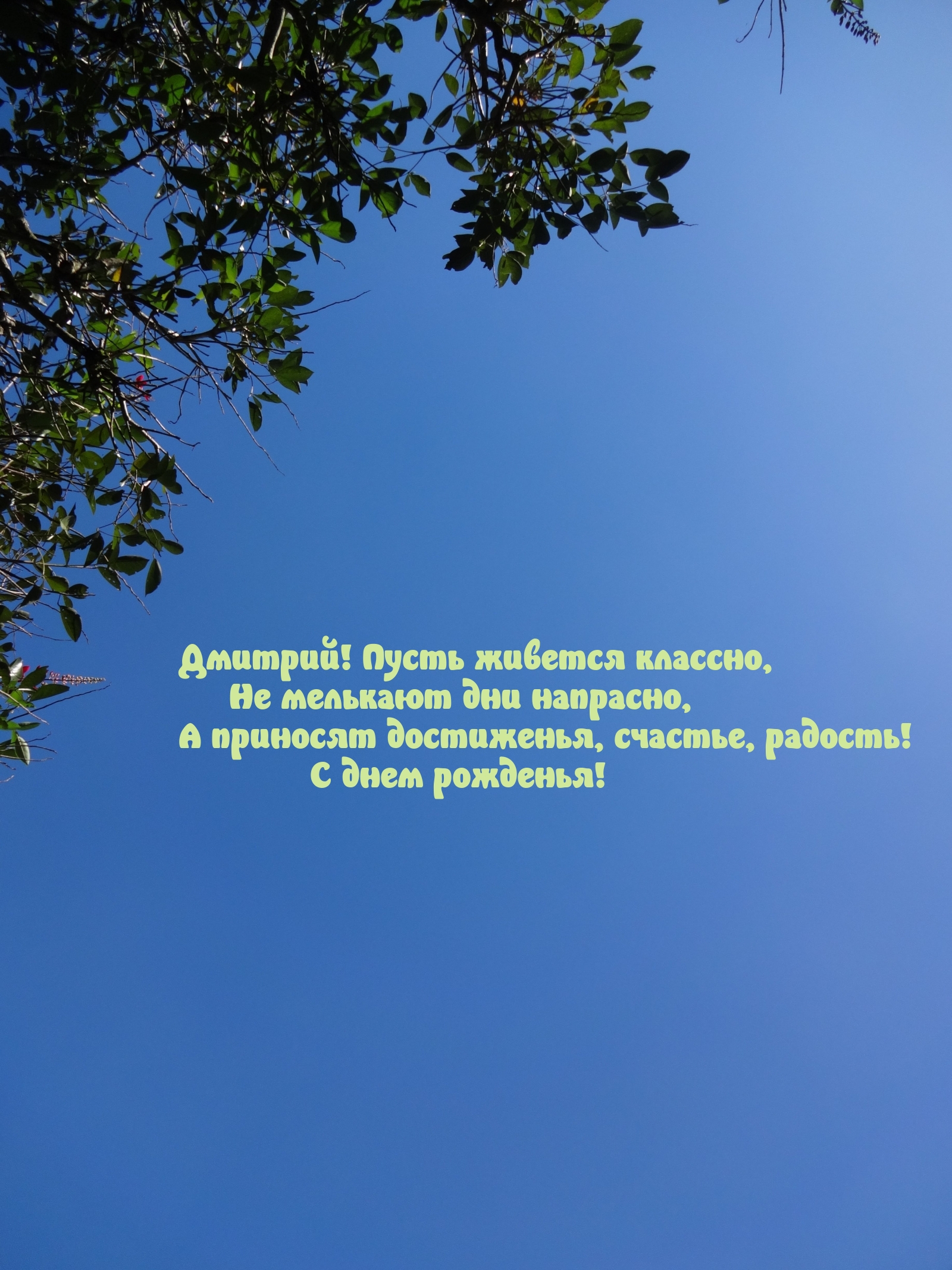 С днем рожденья! Дмитрий! Пусть живется классно