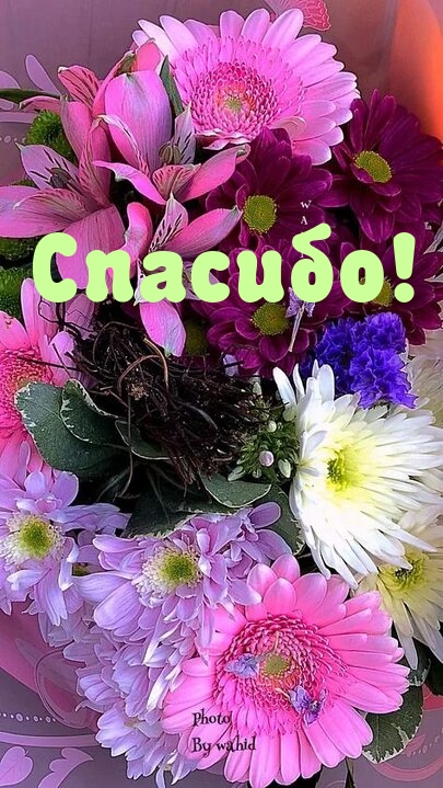 Спасибо!