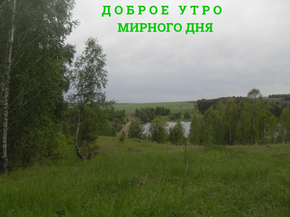 Доброе утро Мирного дня