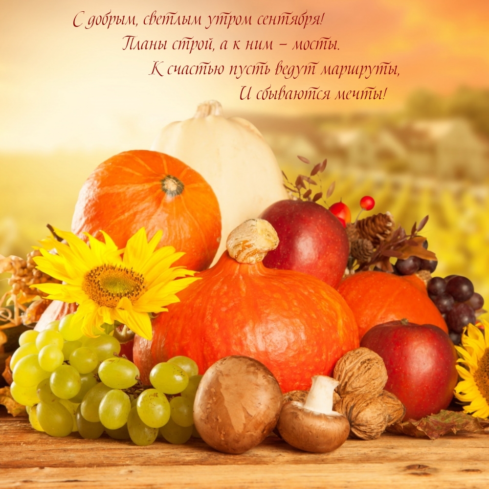 С добрым, светлым утром сентября! Планы строй, а к ним — мосты.
