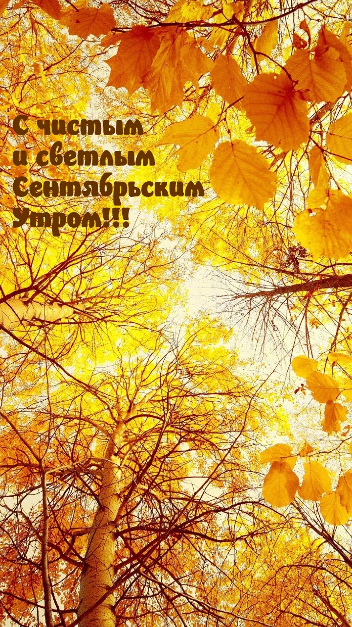 С чистым и светлым Сентябрьским Утром!