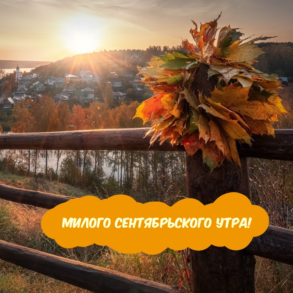 Милого сентябрьского утра!