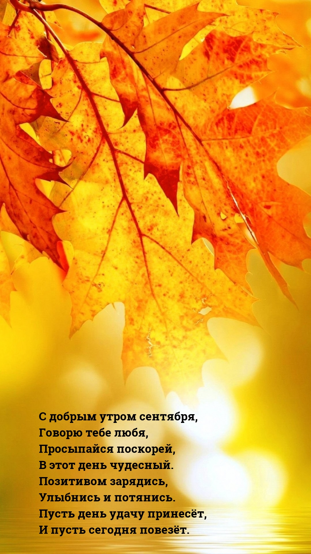 С добрым утром сентября, говорю тебе любя