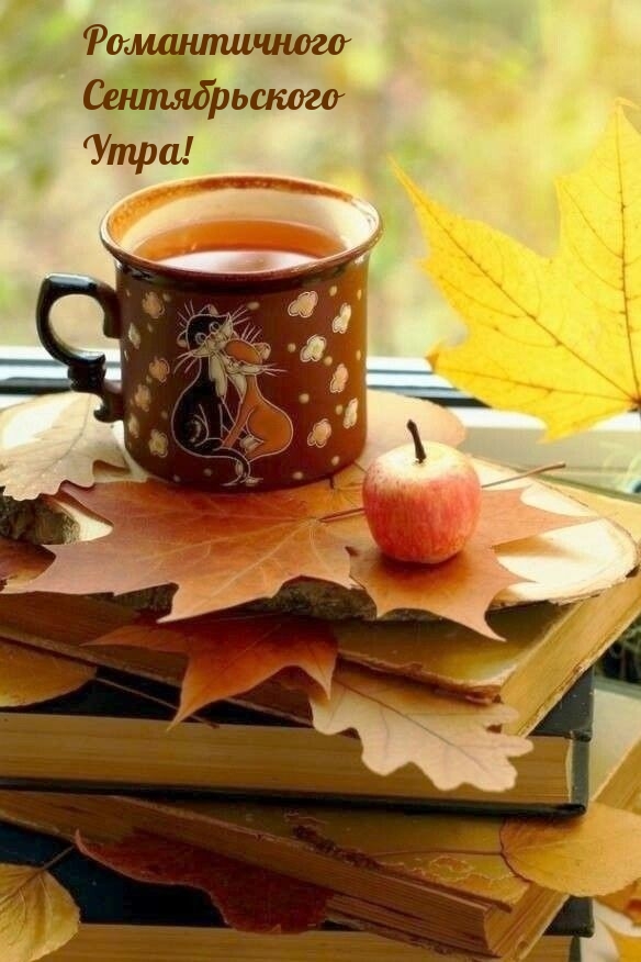 Романтичного Сентябрьского Утра!