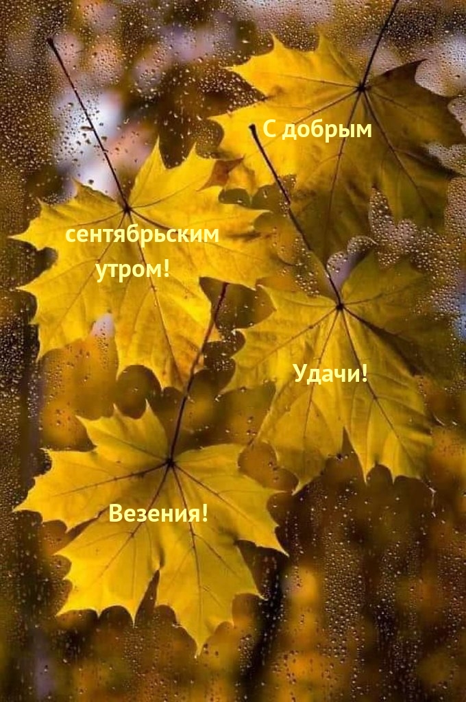 С добрым сентябрьским утром! Удачи! Везения!