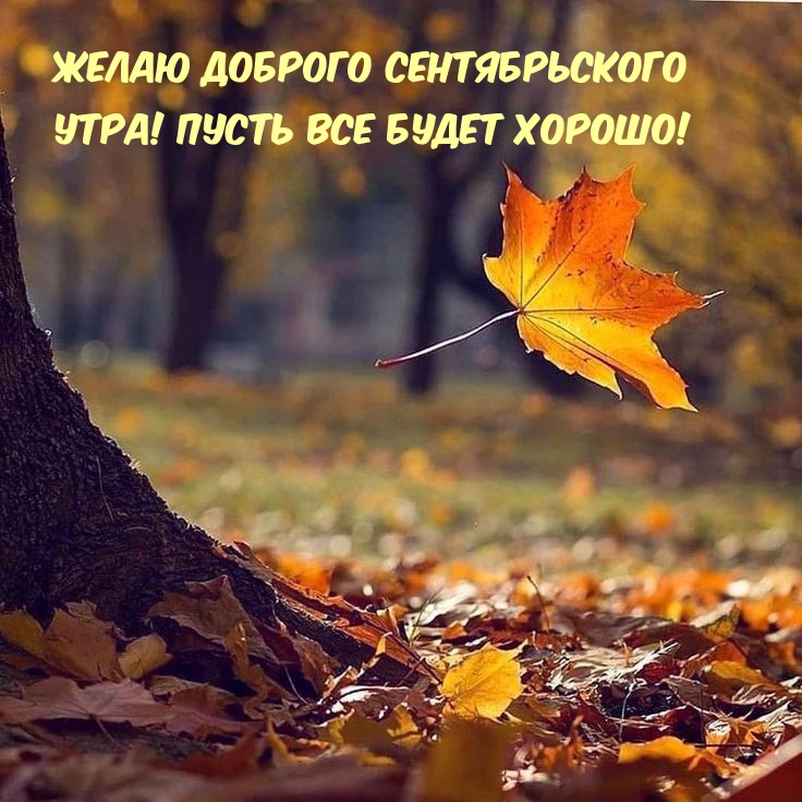 Желаю доброго сентябрьского утра! Пусть все будет хорошо!