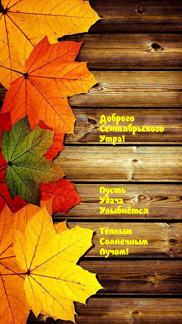 Доброго Сентябрьского утра! Пусть удача улыбнётся