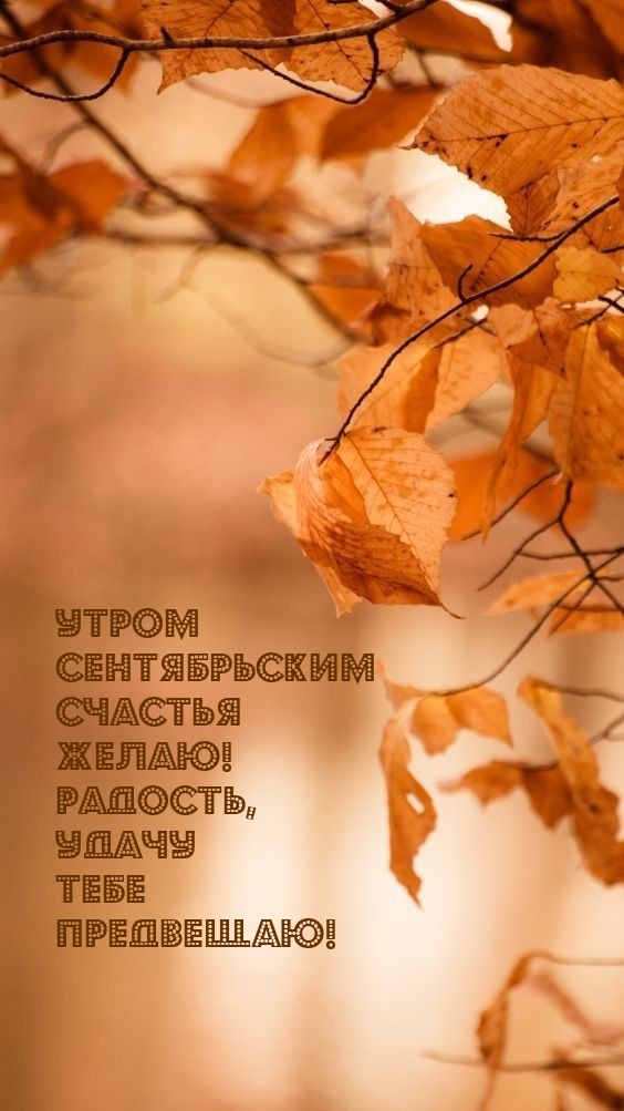 Утром сентябрьским счастья желаю!