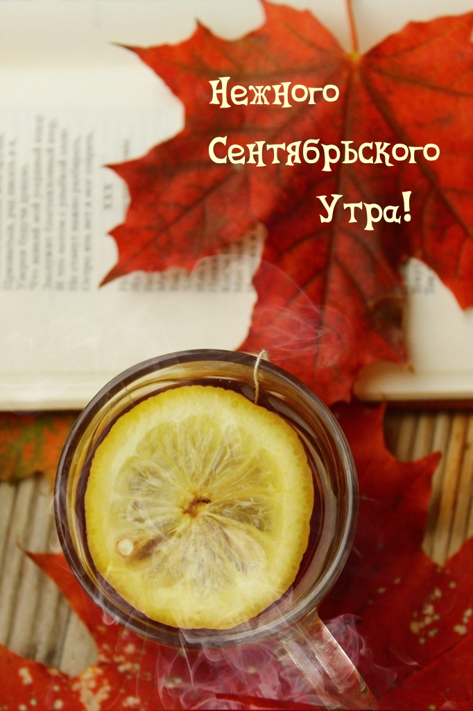 Нежного Сентябрьского Утра!