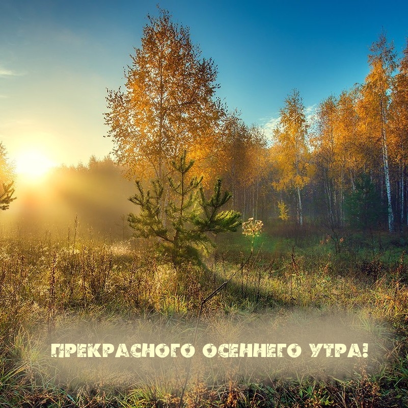 Прекрасного осеннего утра!