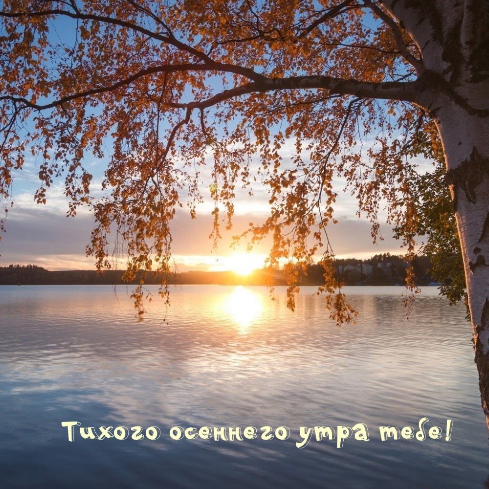 Тихого осеннего утра тебе!