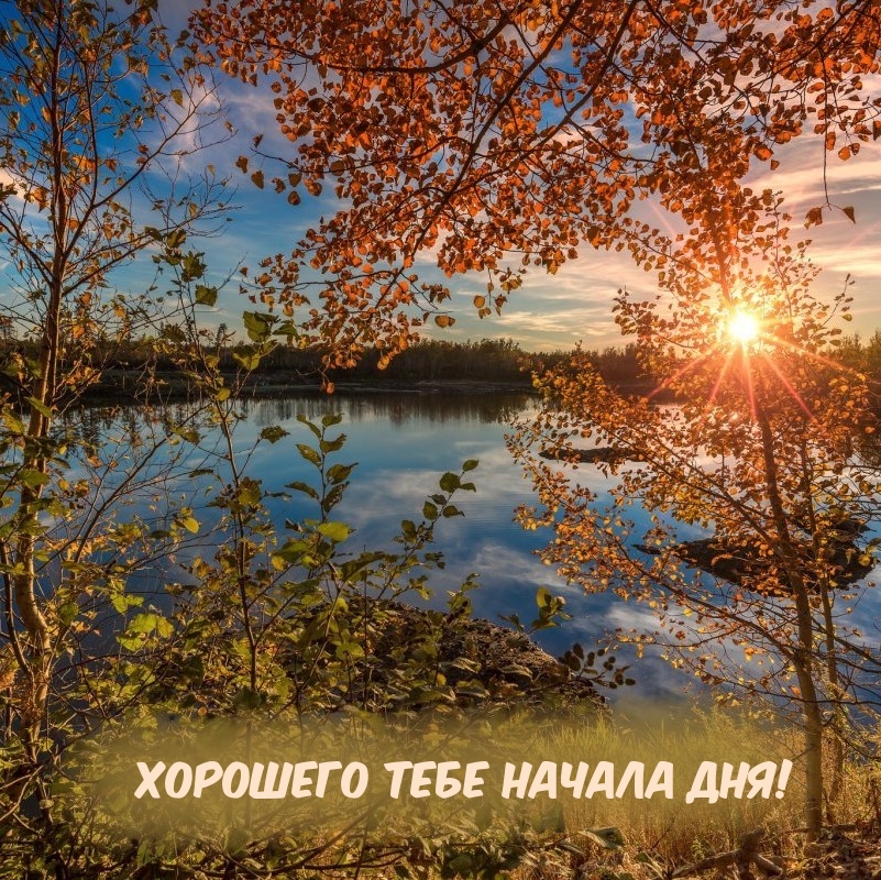 Картинки с надписями.  Хорошего тебе начала дня!.