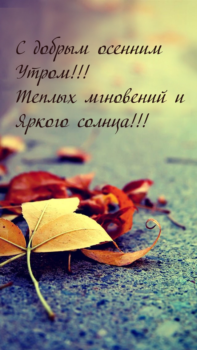 С добрым осенним утром! Теплых мгновений