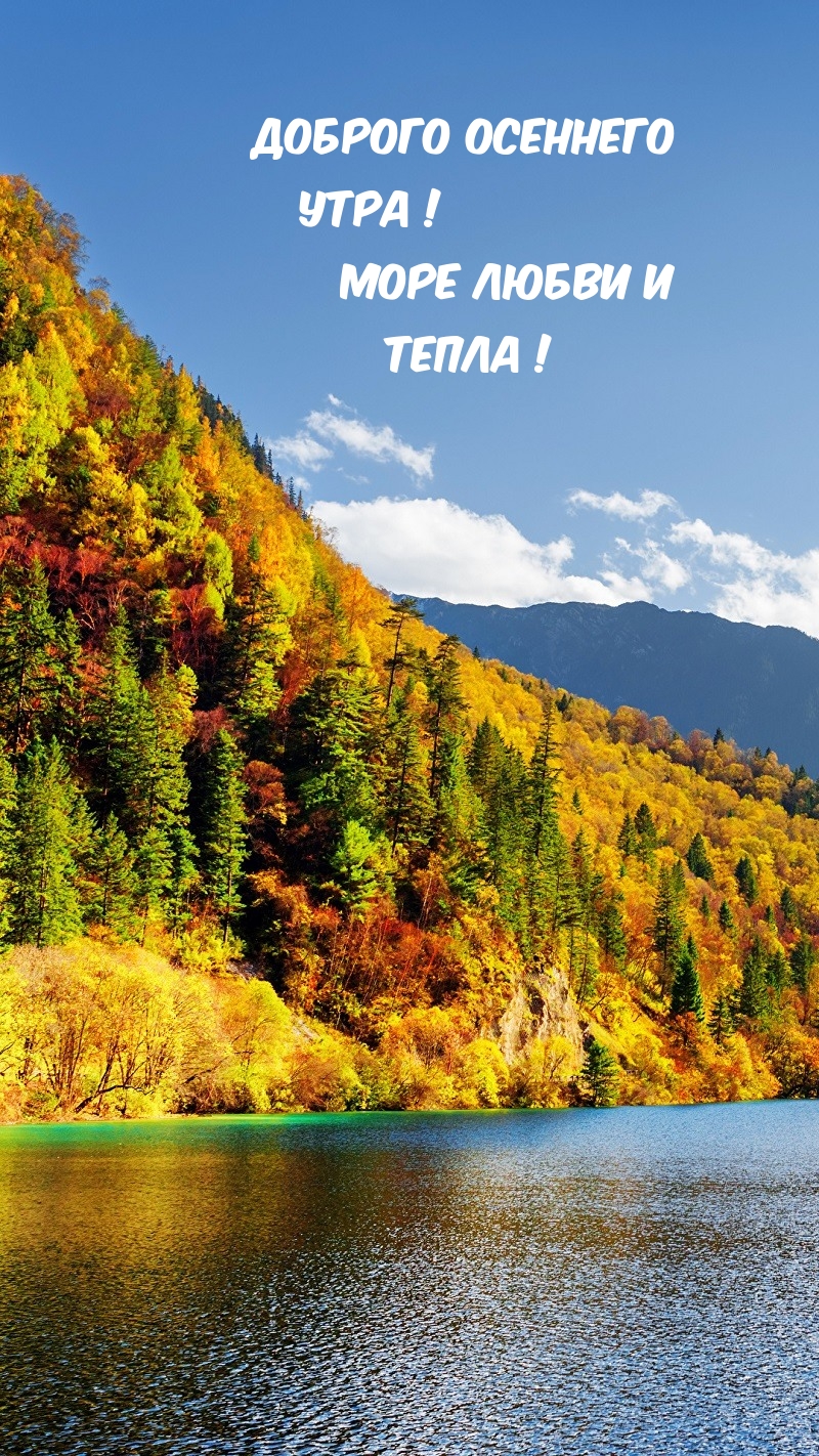 Доброго осеннего утра! Море любви и тепла!
