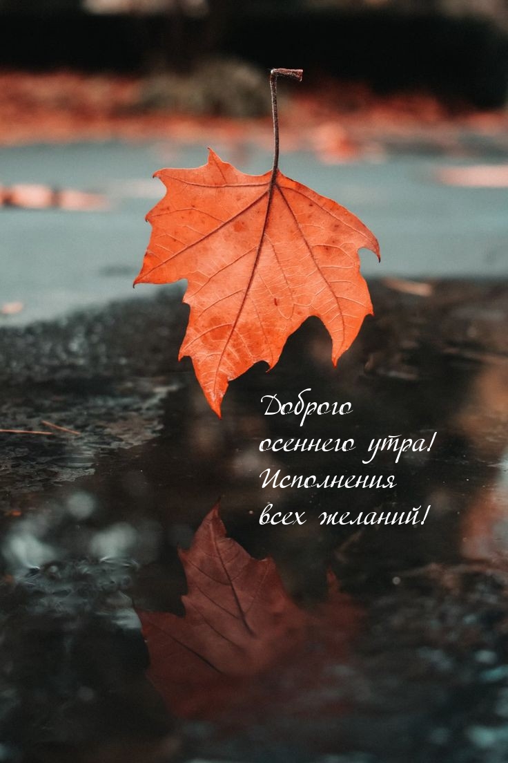 Доброго осеннего утра! Исполнения всех желаний!