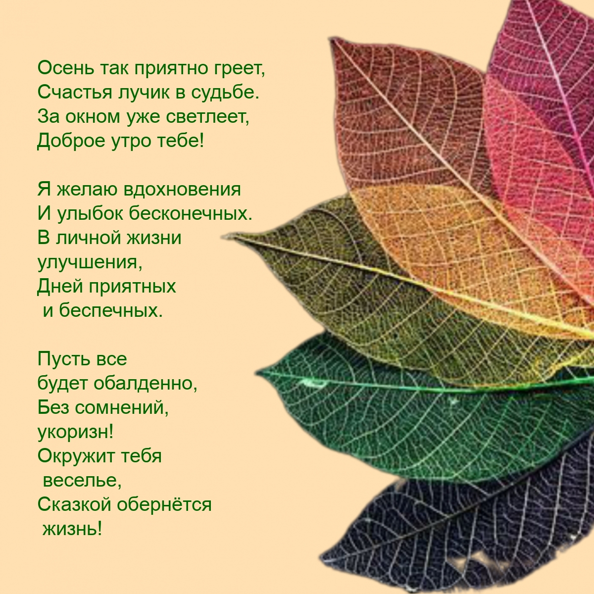 Доброе утро тебе! Осень так приятно греет, счастья лучик в судьбе.