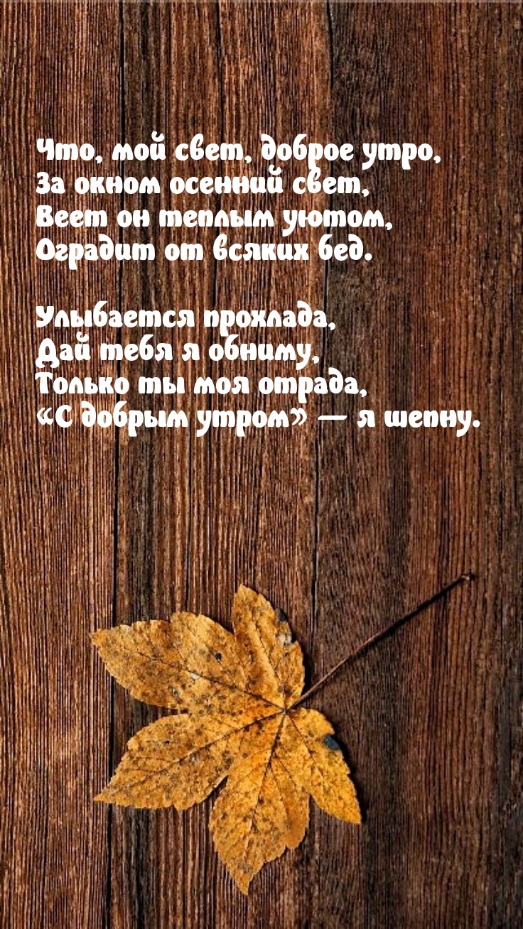 Что, мой свет, доброе утро, за окном осенний свет