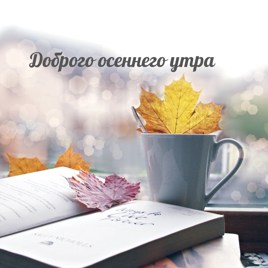 Доброго осеннего утра
