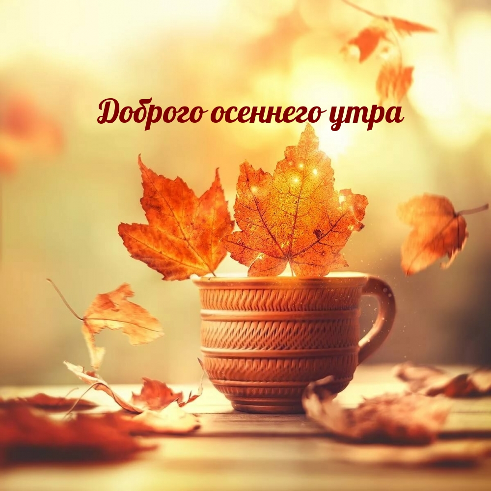 Доброго осеннего утра