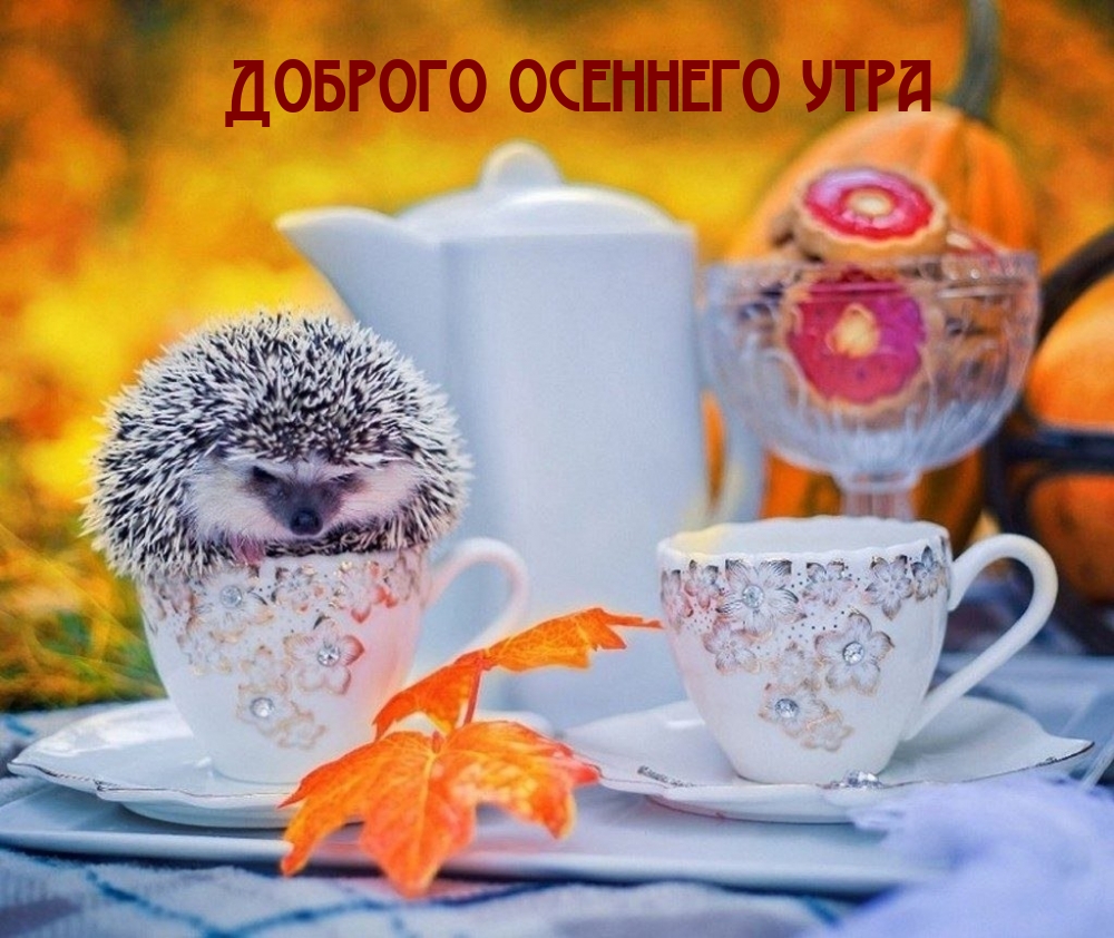 Доброго осеннего утра