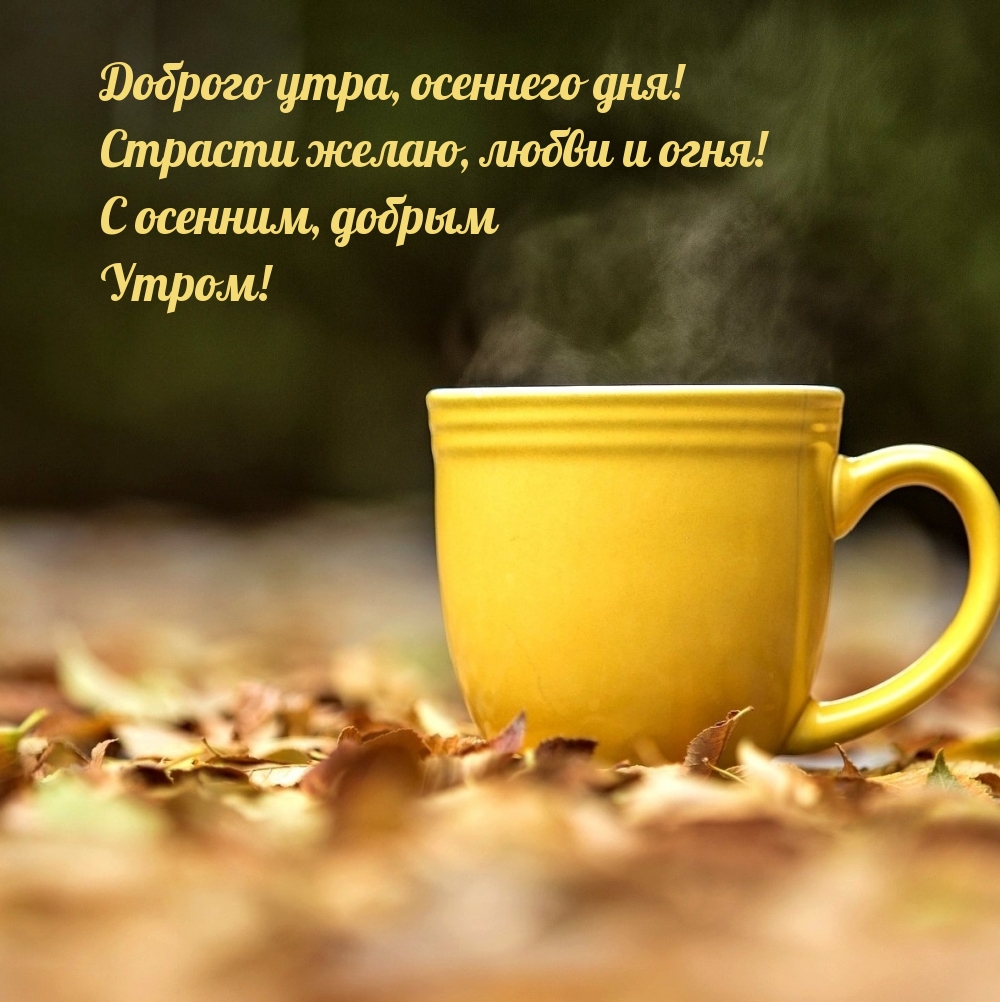 Доброго утра, осеннего дня! Страсти желаю, любви и огня!