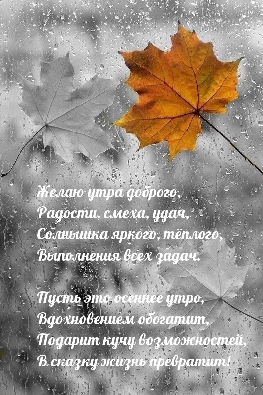 Пусть это осеннее утро, вдохновением обогатит