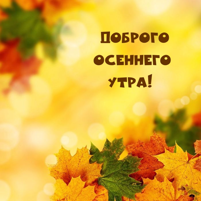 Доброго осеннего утра!