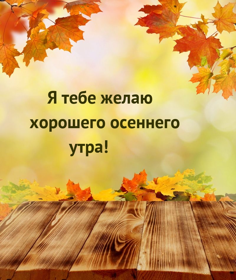 Я тебе желаю хорошего осеннего утра!