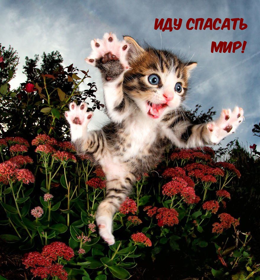 Иду спасать Мир!