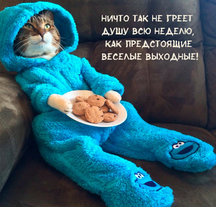 Ничто так не греет душу всю неделю, как предстоящие выходные!